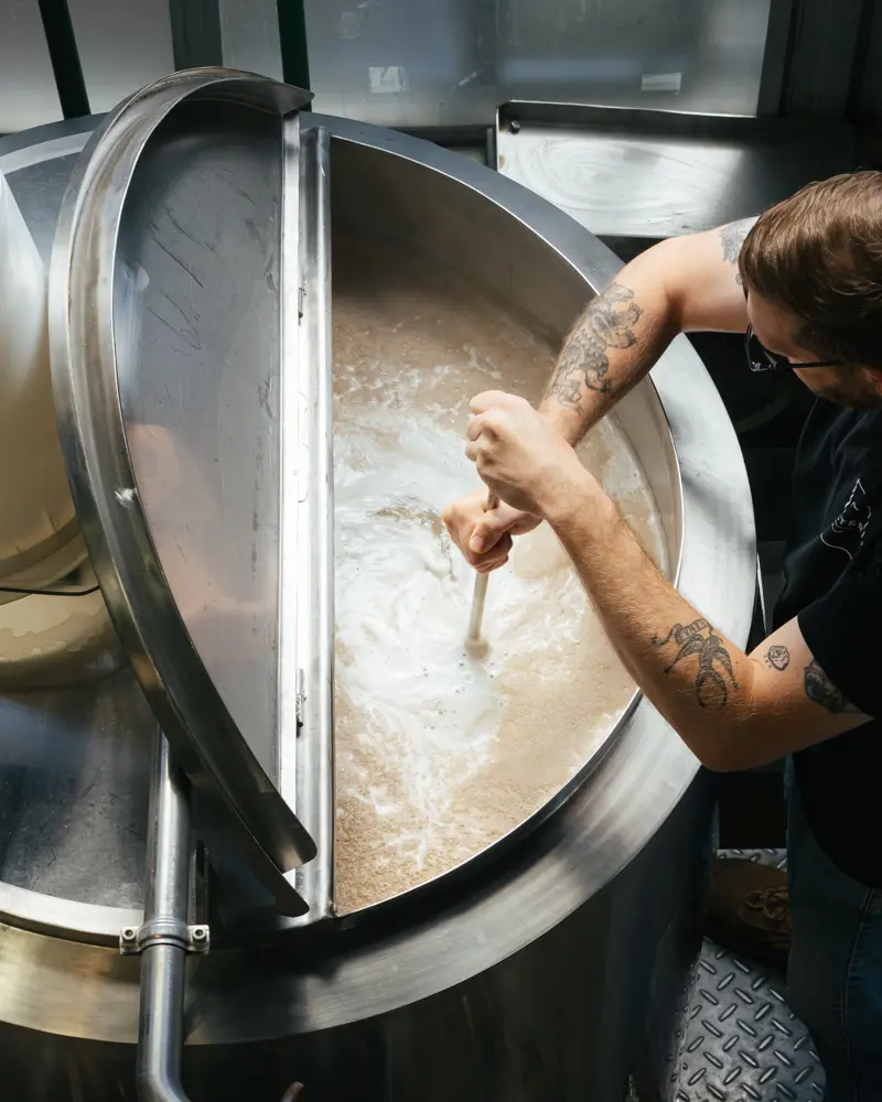 Beer Fermentation: The Magical Part Where Yeast Does Its Thing